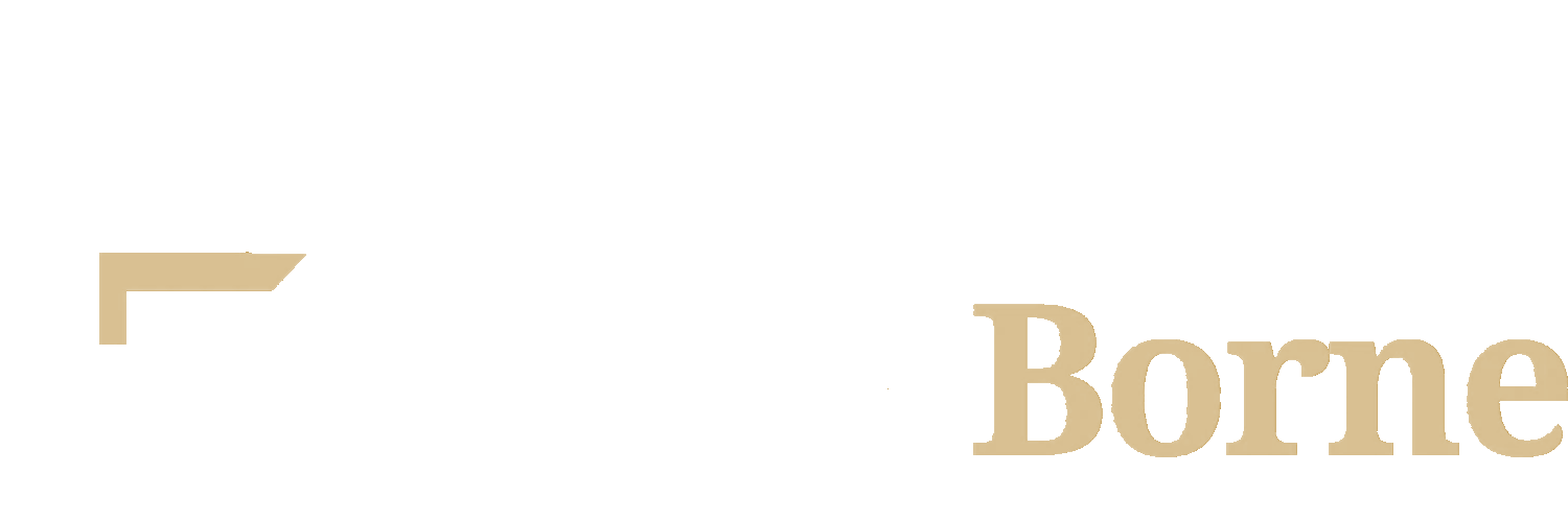 RiskBorne